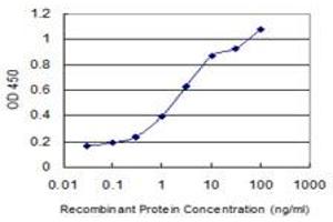 Detection limit for recombinant GST tagged WWP1 is 0. (WWP1 抗体  (AA 152-260))