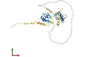 Protein Structure (PS) image for Ets Variant 7 (ETV7) (AA 1-341) protein (His tag) (ABIN7547400)