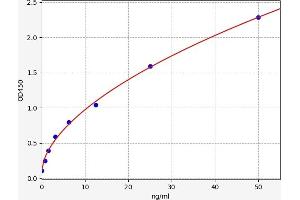 Typical standard curve (CALU ELISA 试剂盒)