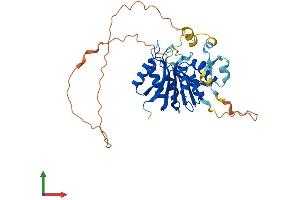 Protein Structure (PS) image for Methyltransferase Like 18 (METTL18) (AA 1-362) protein (His tag) (ABIN7560768)