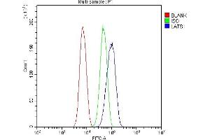 Flow Cytometry analysis of SiHa cells using anti-LATS1 antibody (ABIN6719580).