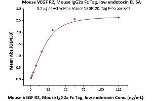 Immobilized Mouse VEGF120, Tag Free (ABIN2181897,ABIN2693605,ABIN3071749) at 2 μg/mL (100 μL/well) can bind Mouse VEGF R2, Mouse IgG2a Fc Tag, low endotoxin (ABIN5674651,ABIN6809982) with a linear range of 1-31 ng/mL (Routinely tested).