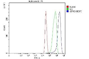 Flow Cytometry analysis of MCF-7 cells using anti-NDP52/CALCOCO2 antibody (ABIN7599400).