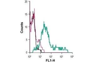 Flow Cytometry (FACS) image for anti-Solute Carrier Family 1 (Glial High Affinity Glutamate Transporter), Member 3 (SLC1A3) (AA 188-200), (Extracellular) antibody (FITC) (ABIN7043663)