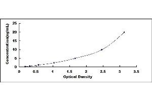 Typical standard curve (TUBB3 ELISA 试剂盒)