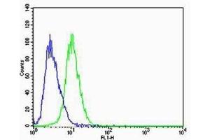 Flow cytometric analysis of A549 cells using CBX8 Antibody (C-term)(green, Cat(ABIN6242216 and ABIN6577075)) compared to an isotype control of mouse IgG1(blue). (CBX8 抗体  (C-Term))