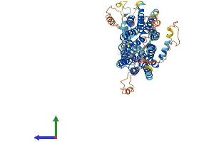 Protein Structure (PS) image for Solute Carrier Organic Anion Transporter Family, Member 3A1 (SLCO3A1) (AA 1-710) protein (His tag) (ABIN7559740)