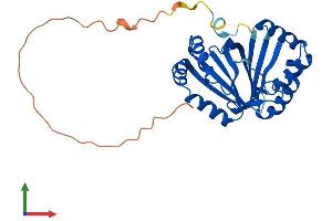 Protein Structure (PS) image for Glioblastoma Amplified Sequence (GBAS) (AA 1-281) protein (His tag) (ABIN7562486)