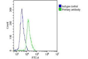 Overlay histogram showing Jurkat cells stained with (ABIN652272 and ABIN2841155) (green line). (L-Selectin 抗体  (C-Term))