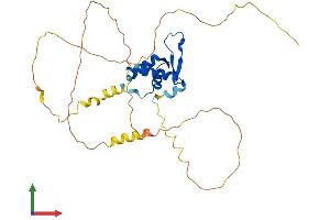 Protein Structure (PS) image for Forkhead Box I2 (FOXI2) (AA 1-318) protein (His tag) (ABIN7547763)