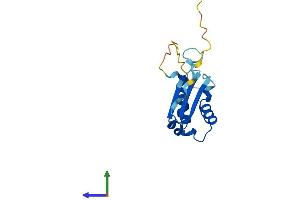 Protein Structure (PS) image for BolA-like Protein 1 (BOLA1) (AA 1-137) protein (His tag) (ABIN7552814)