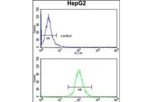 Flow cytometry analysis of HepG2 cells (bottom histogram) compared to a negative control cell (top histogram). (DCL1 抗体  (AA 143-170))