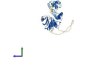 Protein Structure (PS) image for Tripartite Motif Containing 25 (TRIM25) (AA 1-630) protein (His tag) (ABIN7555819)