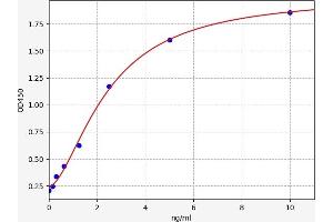 Typical standard curve (FAM20C ELISA 试剂盒)