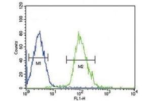 Beta III Tubulin antibody flow cytometric analysis of HepG2 cells (right histogram) compared to a negative control cell (left histogram). (TUBB3 抗体  (AA 36-63))