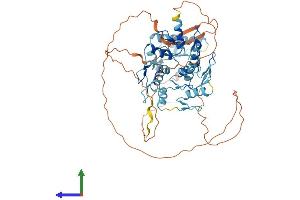 AlphaFold protein structure predicition of Human Recombinant ZNF324B Protein, UniprotID Q6AW86