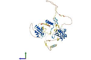 Protein Structure (PS) image for RNA-Binding Region (RNP1, RRM) Containing 3 (RNPC3) (AA 1-514) protein (His tag) (ABIN7557318)