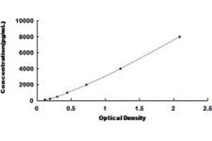 Typical standard curve (CD130/gp130 ELISA 试剂盒)