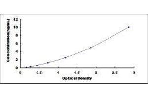 Typical standard curve (PML ELISA 试剂盒)