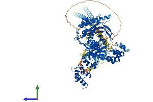 Protein Structure (PS) image for Oxysterol Binding Protein-Like 1A (OSBPL1A) (AA 1-950) protein (His tag) (ABIN7554861)