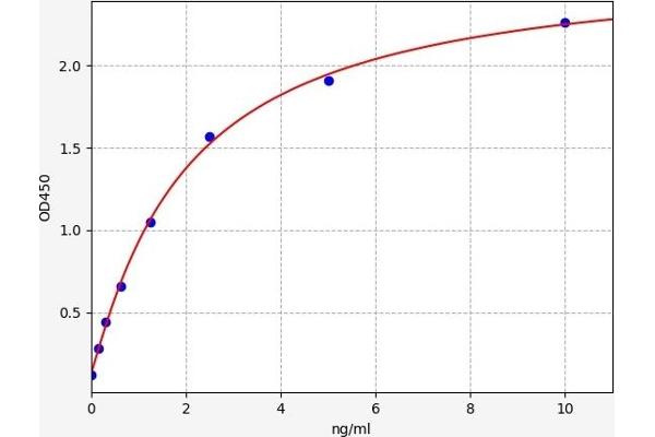 HSF4 ELISA 试剂盒