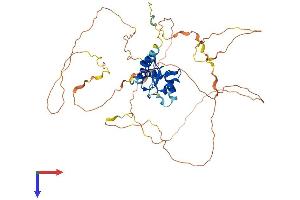 AGFG2 Protein (AA 1-481) (His tag)