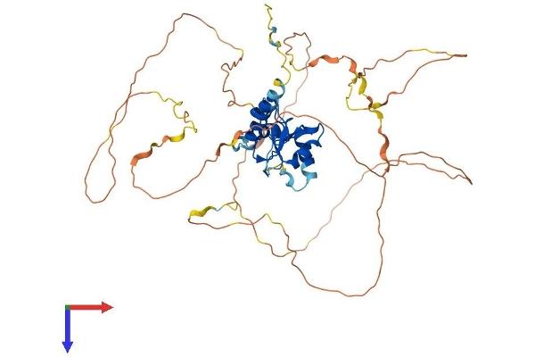 AGFG2 Protein (AA 1-481) (His tag)