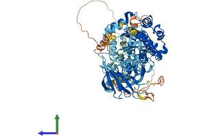 Protein Structure (PS) image for Ribosomal Protein S6 Kinase, 90kDa, Polypeptide 3 (RPS6KA3) (AA 1-740) protein (His tag) (ABIN7562929)