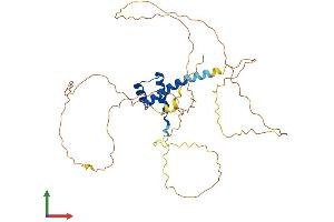 Protein Structure (PS) image for NK2 Homeobox 1 (NKX2-1) (AA 1-371) protein (His tag) (ABIN7549864)