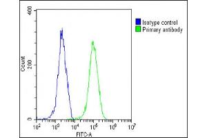 Overlay histogram showing HeLa cells stained with (ABIN388094 and ABIN2837860)(green line). (BAX 抗体  (AA 41-76))