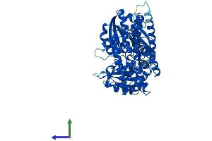 Protein Structure (PS) image for Cell Division Cycle 45 Homolog (S. Cerevisiae) (CDC45) (AA 1-566) protein (His tag) (ABIN7556397)