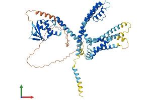 Protein Structure (PS) image for Potassium Channel, Subfamily V, Member 2 (KCNV2) (AA 1-562) protein (His tag) (ABIN7559311)
