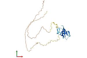 Protein Structure (PS) image for GAR1 Ribonucleoprotein Homolog (Yeast) (GAR1) (AA 1-231) protein (His tag) (ABIN7560746)