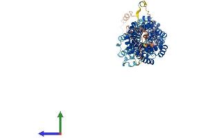 Protein Structure (PS) image for Cell Division Cycle 16 Homolog (S. Cerevisiae) (CDC16) (AA 1-620) protein (His tag) (ABIN7564696)