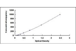 Typical standard curve (DEFB124 ELISA 试剂盒)