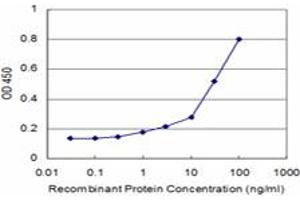 Detection limit for recombinant GST tagged MAGED2 is approximately 1ng/ml as a capture antibody. (MAGED2 抗体  (AA 16-125))