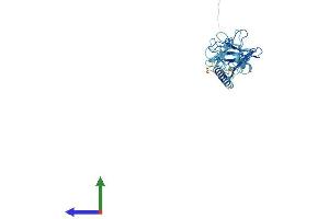 Protein Structure (PS) image for Sarcoglycan, zeta (SGCZ) (AA 1-299) protein (His tag) (ABIN7546016)