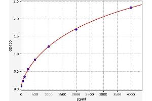 Typical standard curve (TNFRSF11A ELISA 试剂盒)