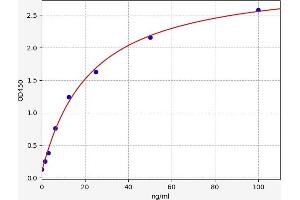 Typical standard curve (ABCC4 ELISA 试剂盒)