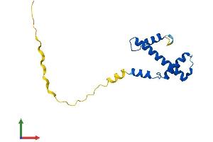 Protein Structure (PS) image for Centromere Protein A (CENPA) (AA 1-140) protein (His tag) (ABIN7553279)