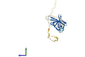 Protein Structure (PS) image for Single-Stranded DNA Binding Protein 1 (SSBP1) (AA 1-211) protein (His tag) (ABIN7546193)