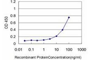 Detection limit for recombinant GST tagged HSPB8 is approximately 3ng/ml as a capture antibody. (HSPB8 抗体  (AA 97-196))