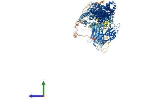 AlphaFold protein structure predicition of Human Recombinant BAIAP3 Protein, UniprotID O94812