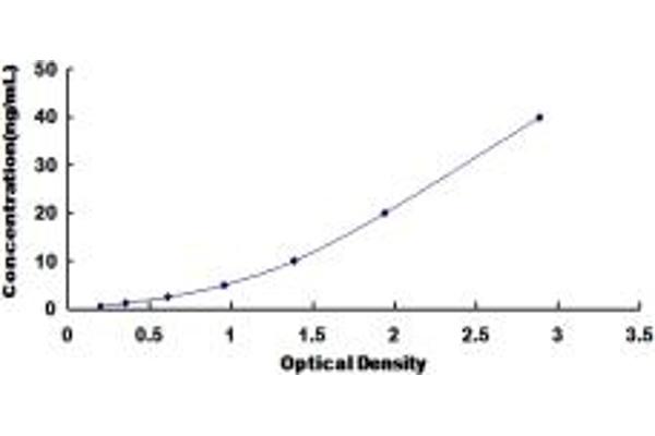 Biliverdin Reductase ELISA 试剂盒