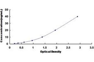 Typical standard curve (Biliverdin Reductase ELISA 试剂盒)