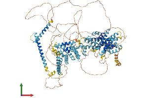 Protein Structure (PS) image for Sterol Regulatory Element Binding Transcription Factor 2 (SREBF2) (AA 1-1130) protein (His tag) (ABIN7563694)