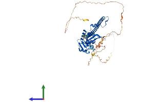 Protein Structure (PS) image for Paraspeckle Component 1 (PSPC1) (AA 1-523) protein (His tag) (ABIN7551081)
