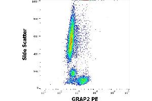 Flow cytometry intracellular staining pattern of human peripheral whole blood stained using anti-human GRAP2(UW40) PE antibody (concentration in sample 1,7 μg/mL). (GRAP2 抗体  (PE))