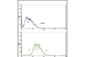 TTR Antibody (Center) (ABIN390652 and ABIN2840950) flow cytometry analysis of HepG2 cells (bottom histogram) compared to a negative control cell (top histogram). (TTR 抗体  (AA 47-74))