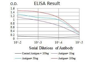 ELISA image for anti-Cytochrome P450, Family 1, Subfamily A, Polypeptide 1 (CYP1A1) antibody (ABIN969511)